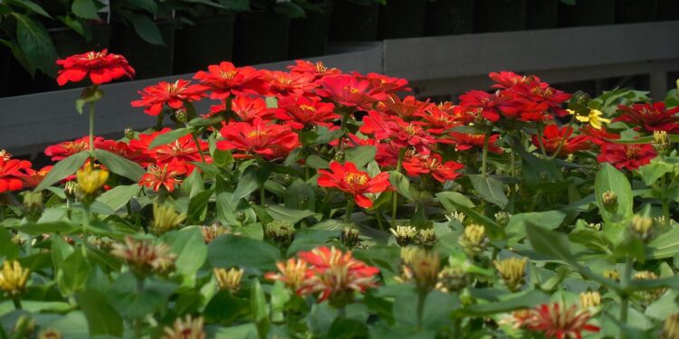 Legalità e impresa: la Vivai Marrone brilla tra le eccellenze italiane