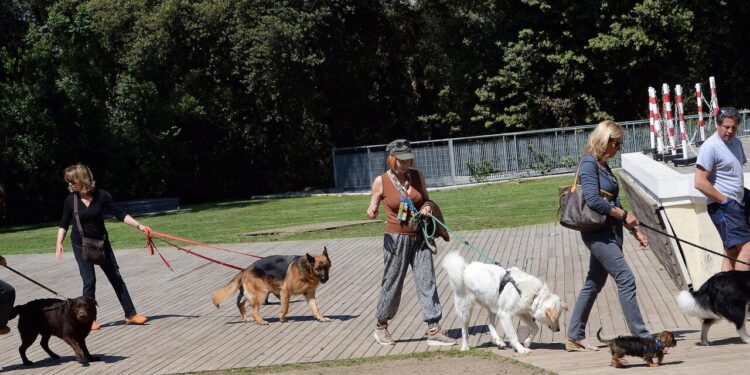 Il cane sporca, arrivano le pattuglie zoofile contro i padroni maleducati