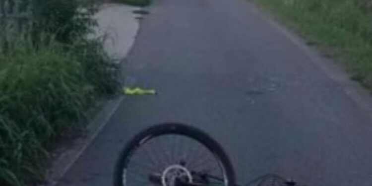 Ciclista investì cinghiale, muore dopo una settimana in ospedale
