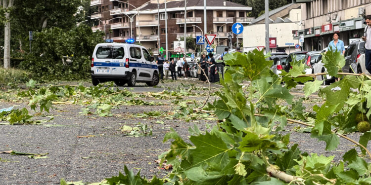 Maltempo: a Roma alberi e rami caduti, pino a fuoco per un fulmine